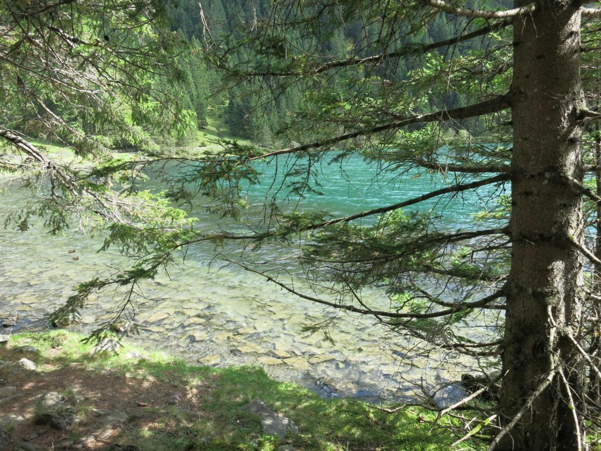 Appartement Imbachhorn Zell am See Dış mekan fotoğraf